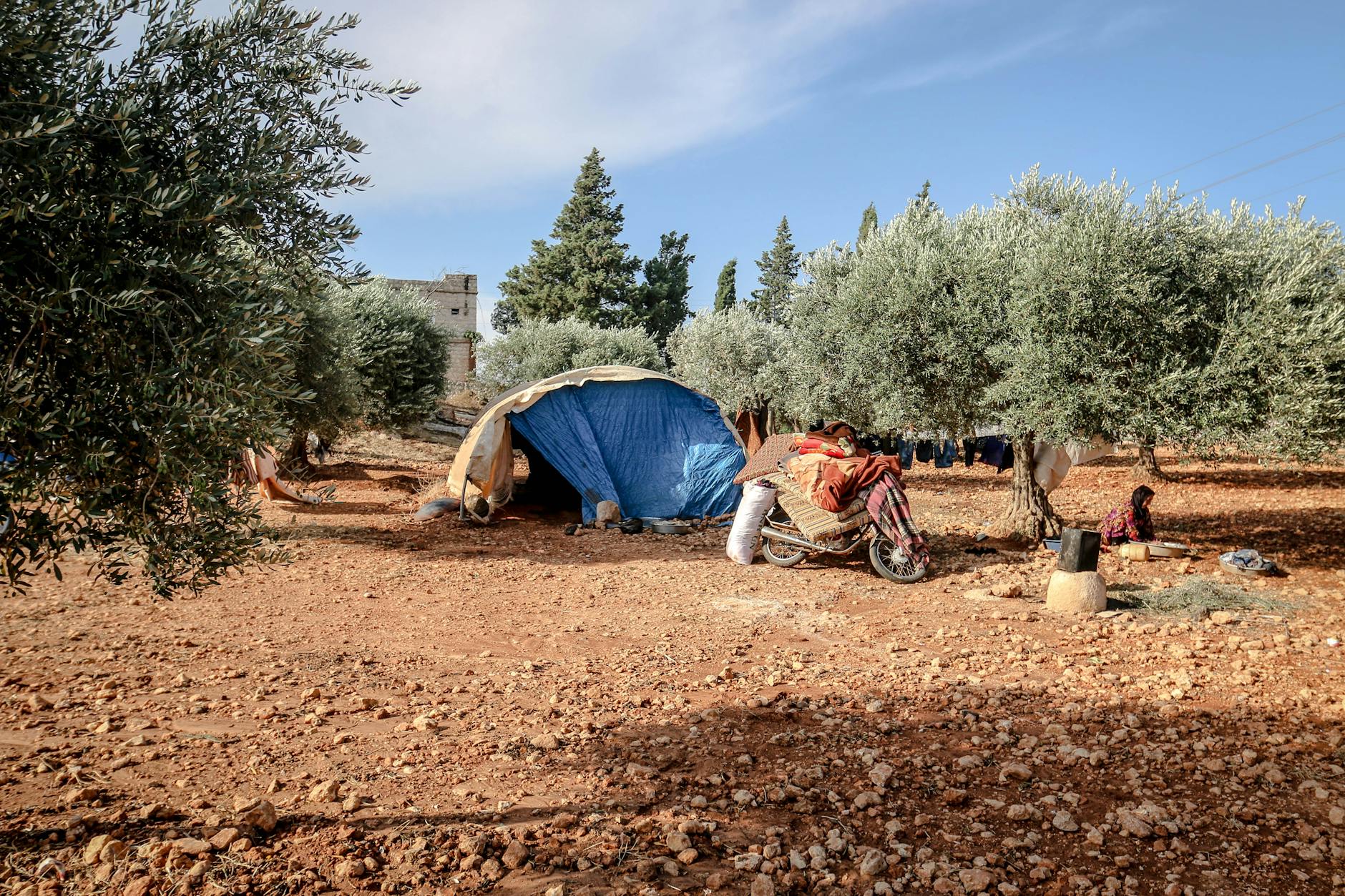 What Should You Watch For in Severance Agreements After Mass Layoffs?