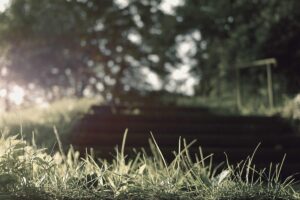 Bard PowerPort Settlement Could Deliver Significant Payouts to Injured Patients - Featured image