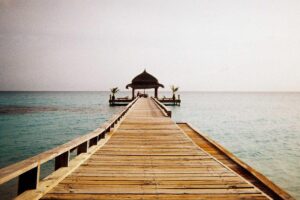 Class Action Claims World Finance Corp Made Repeated Loan Refinances to Extract Higher Fees - Featured image