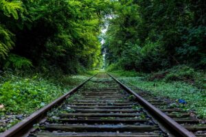 Court Upholds Depreciation Practices in Cincinnati Insurance Class Action - Featured image
