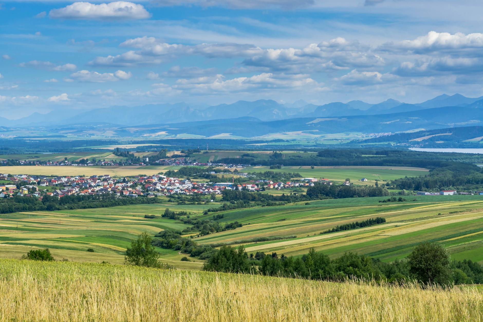 Eligibility Requirements and Common Participation Mistakes