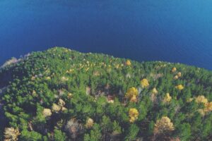 First Amendment Case Resolved After Colorado Town Blocked Citizen on Social Media - Featured image