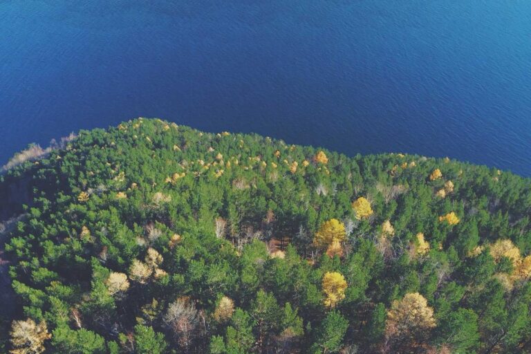 First Amendment Case Resolved After Colorado Town Blocked Citizen on Social Media - Featured image