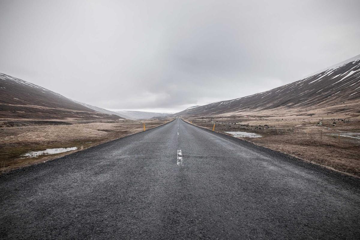 Government Investigations Into Carbon Offset Quality