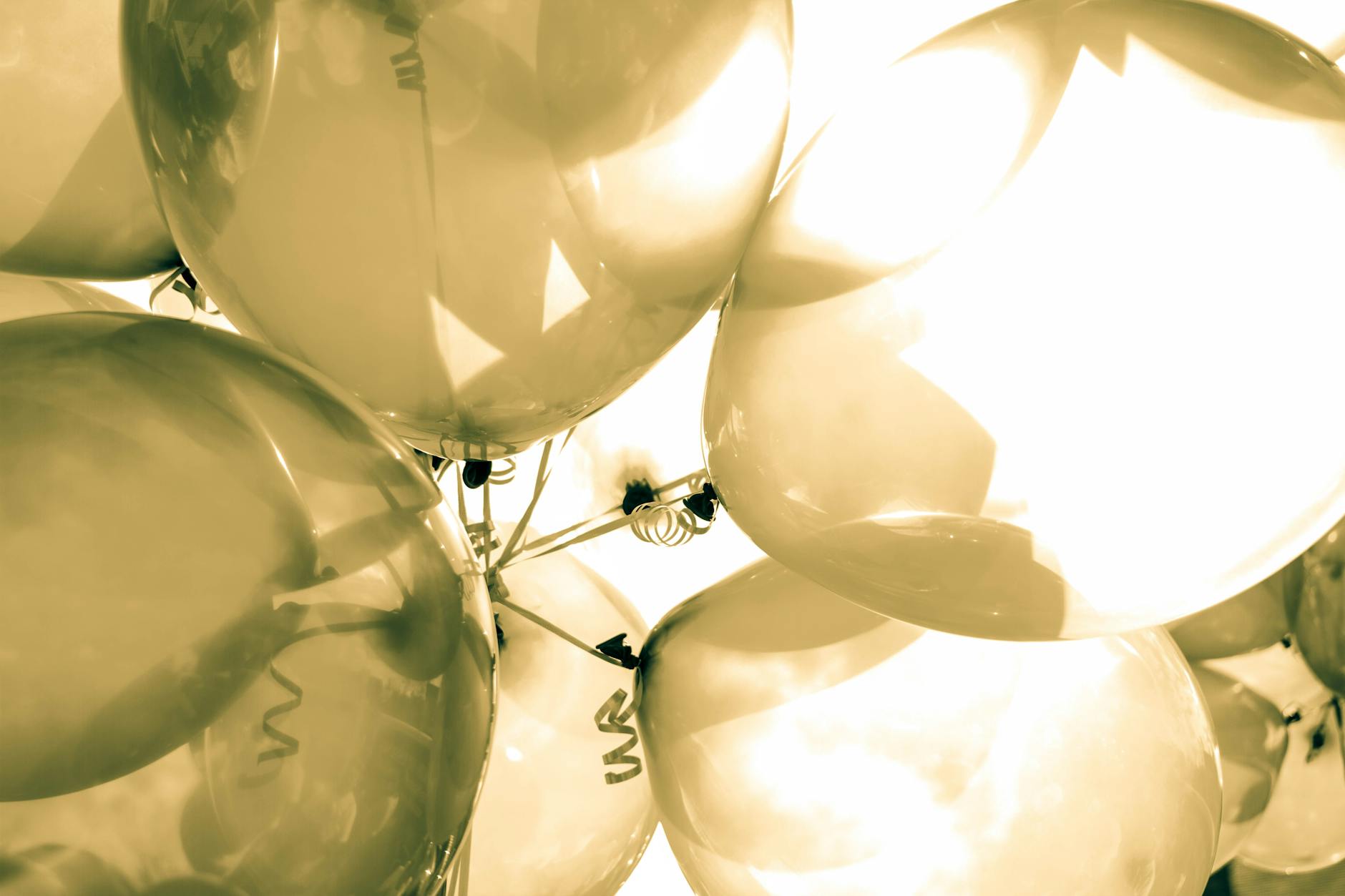 How Aspiration Inflated Its Tree-Planting Claims