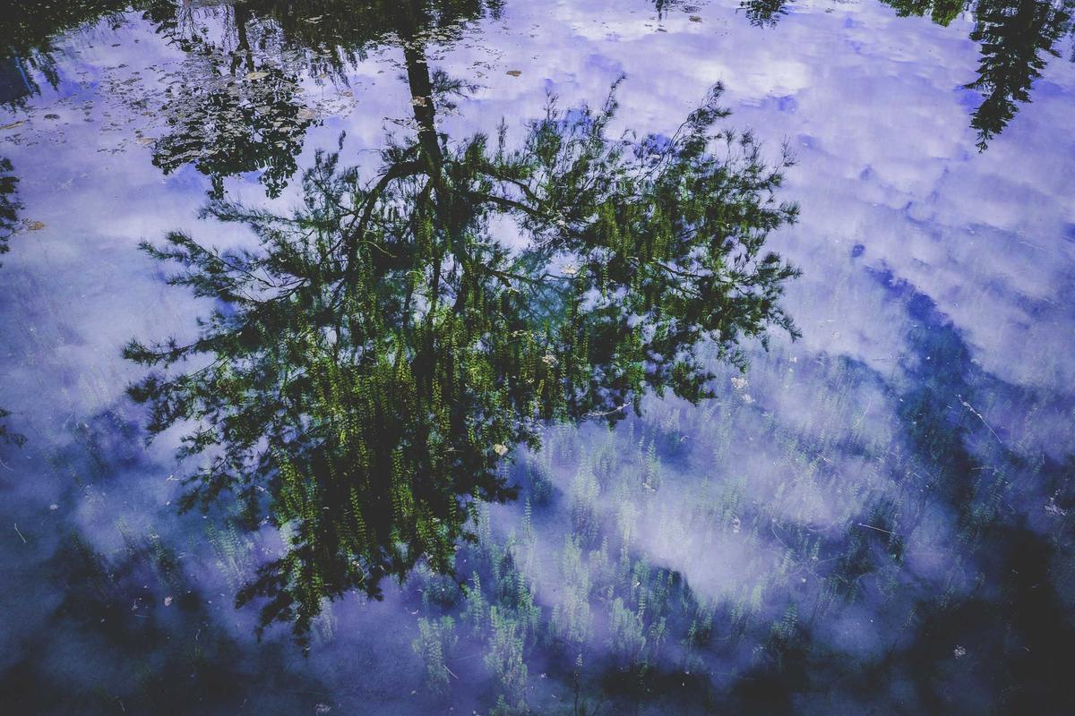 How Did Nobles County Decide to Award $37,350 to These Two Recovery Facilities?