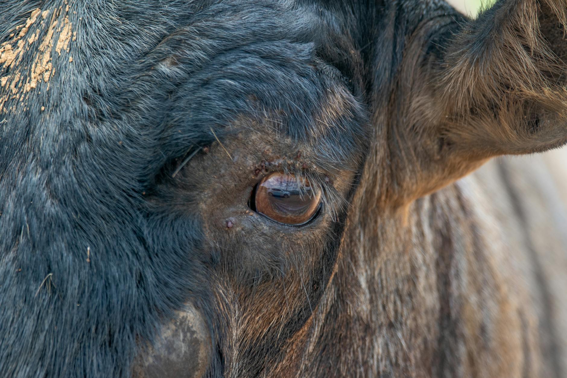 How Did State Farm Undervalue Totaled Vehicles?