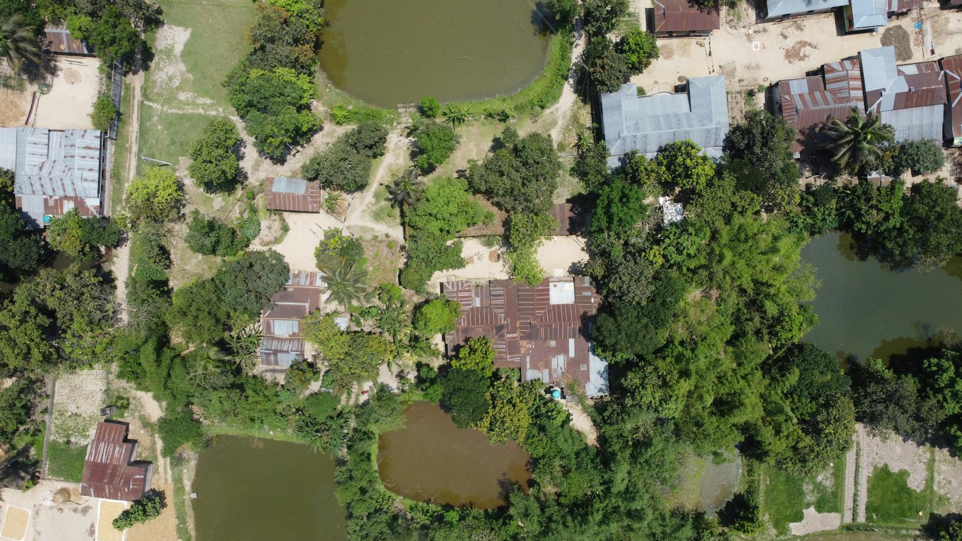 How Does the Bankruptcy Case Shape This Settlement?
