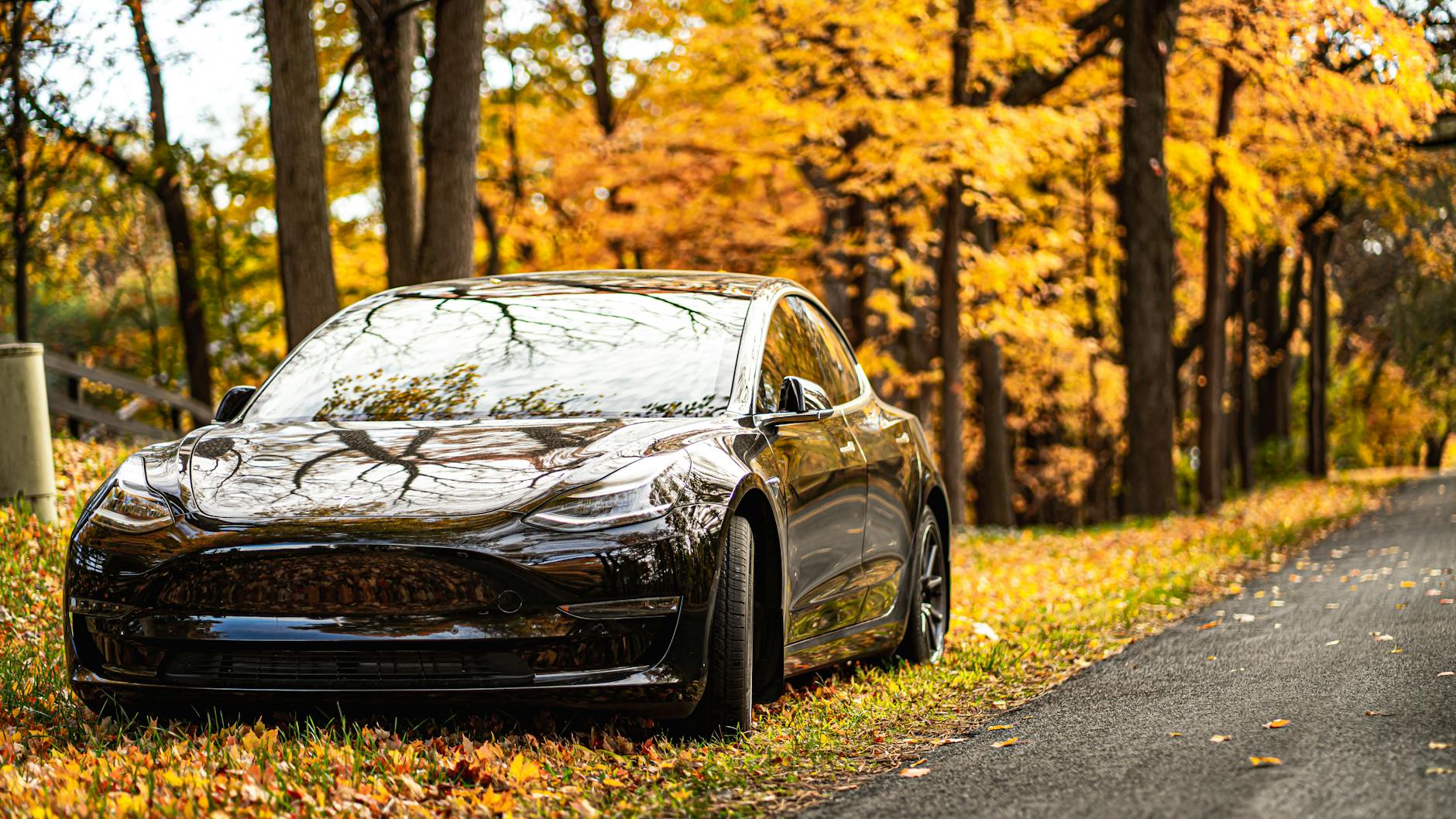 How Many Tesla Owners Are Potentially Affected?