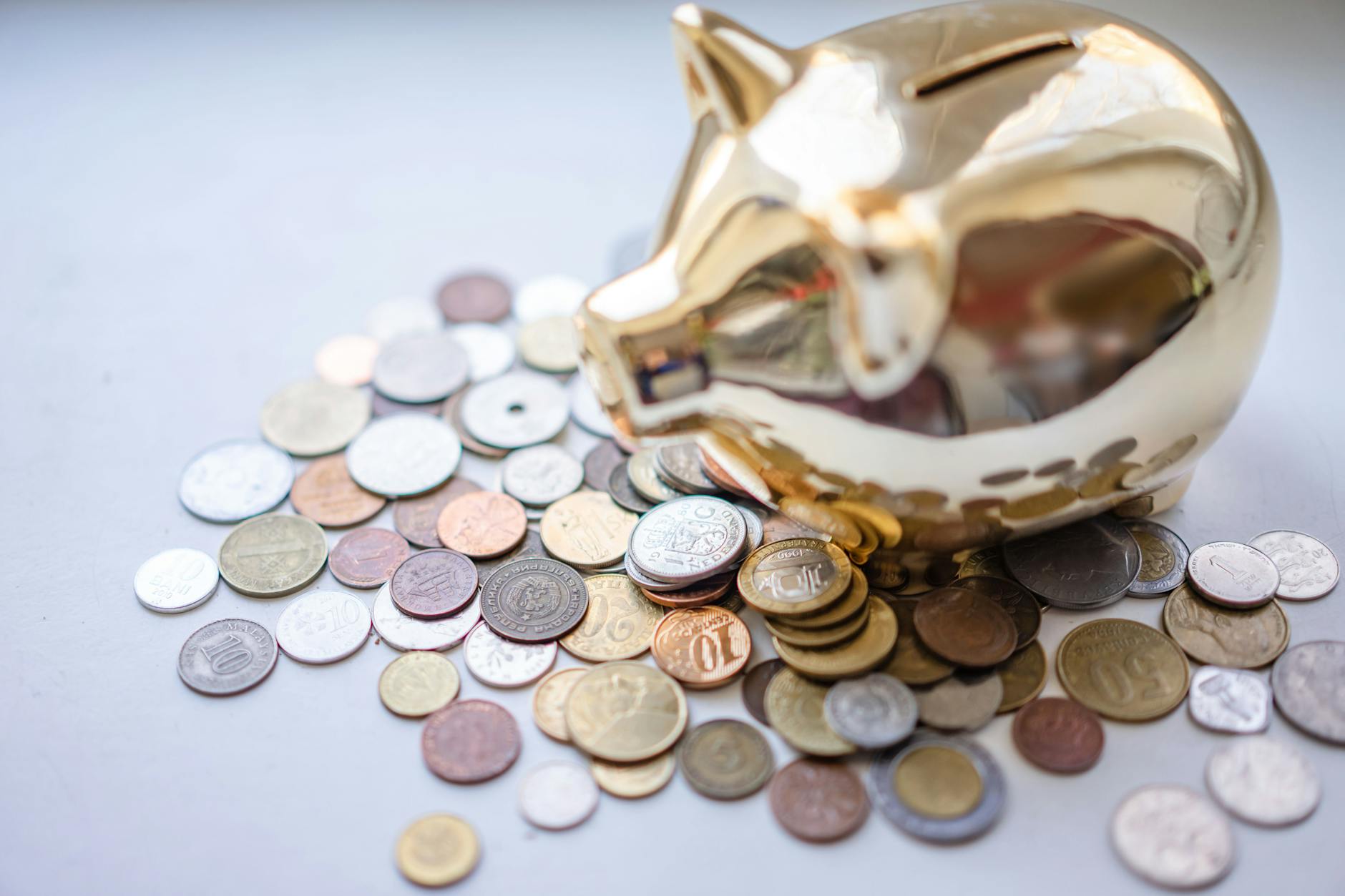 How the $10.5 Million Settlement Fund Breaks Down