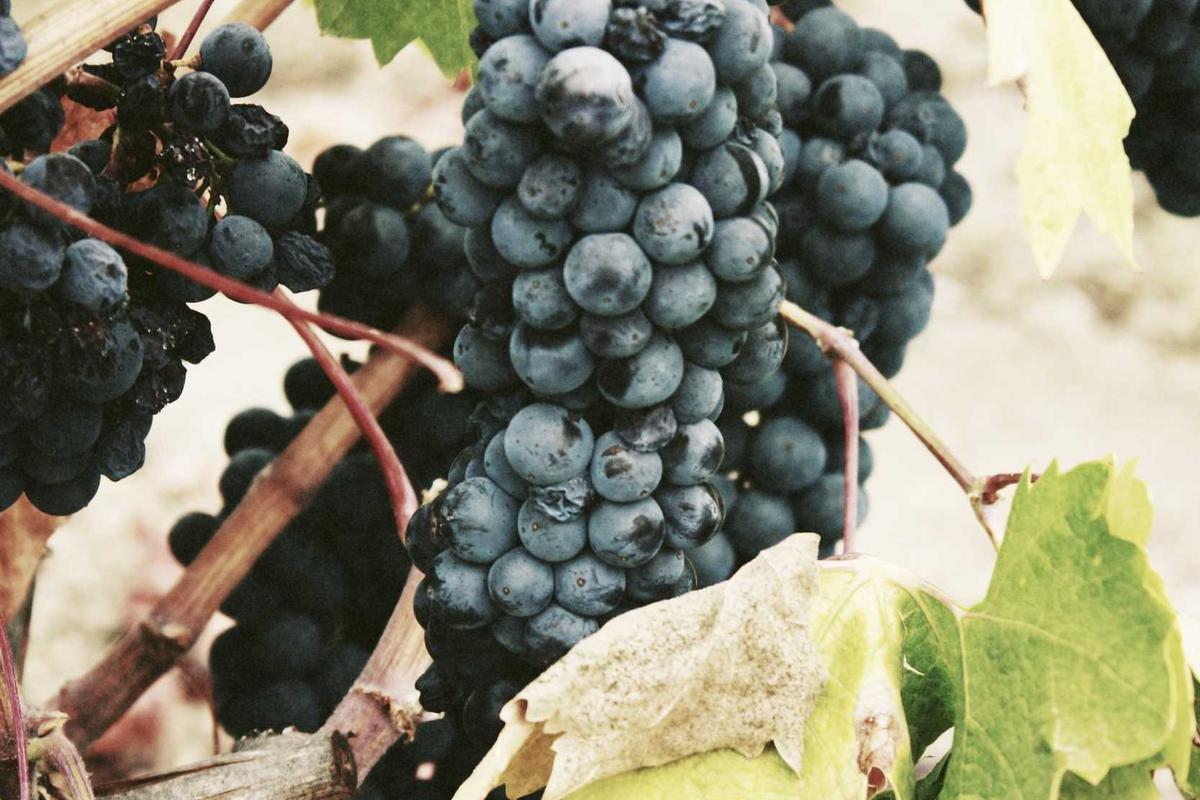 How the Settlement Addresses Consumer Complaints