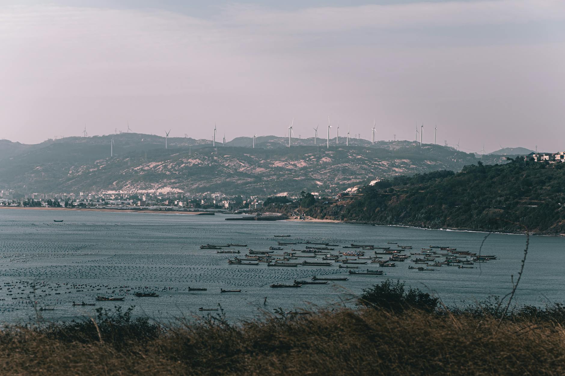 How the ZOA Energy Settlement Payouts Were Structured