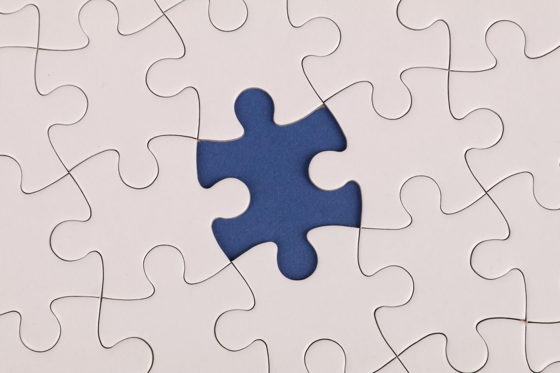L1 Identity Solutions' Background and Why Border System Cases Matter