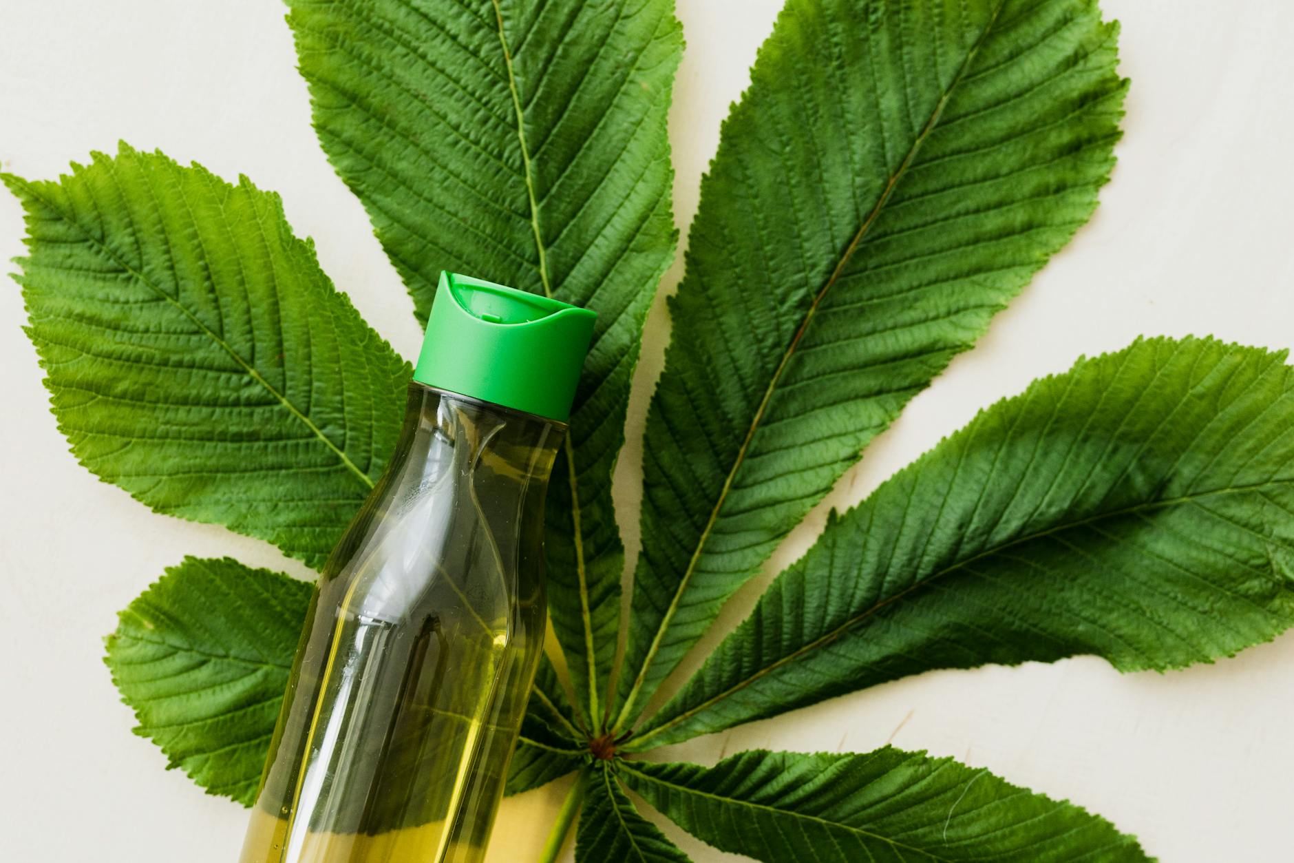Lawsuit Claims Herbal Essences Plant-Based Claims Were Misleading Due to Petrochemical Ingredients - Featured image