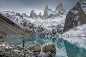 Lawsuit Claims Ol' Roy Store Brand Dog Food Failed to Meet AAFCO Nutritional Standards - Featured image