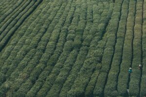 Michael Kors Misleading Outlet Store Pricing Class Action Settlement - Featured image