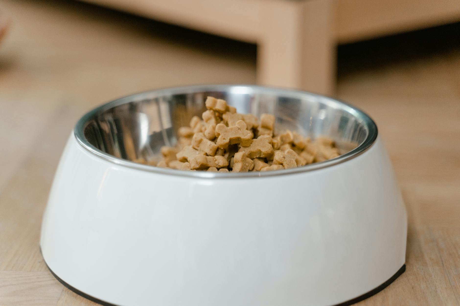 Mid America Pet Food $5.5 Million Salmonella Recall Settlement: Who Qualifies - Featured image