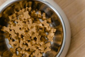 Mid America Pet Food Salmonella Recall Settlement: How Payments Are Calculated - Featured image