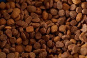 Mid America Pet Food Settlement: How To Verify The Official Settlement Website - Featured image