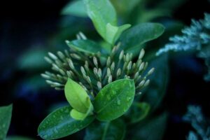 Positive Update for Anthropic Class Action Claimants - Featured image