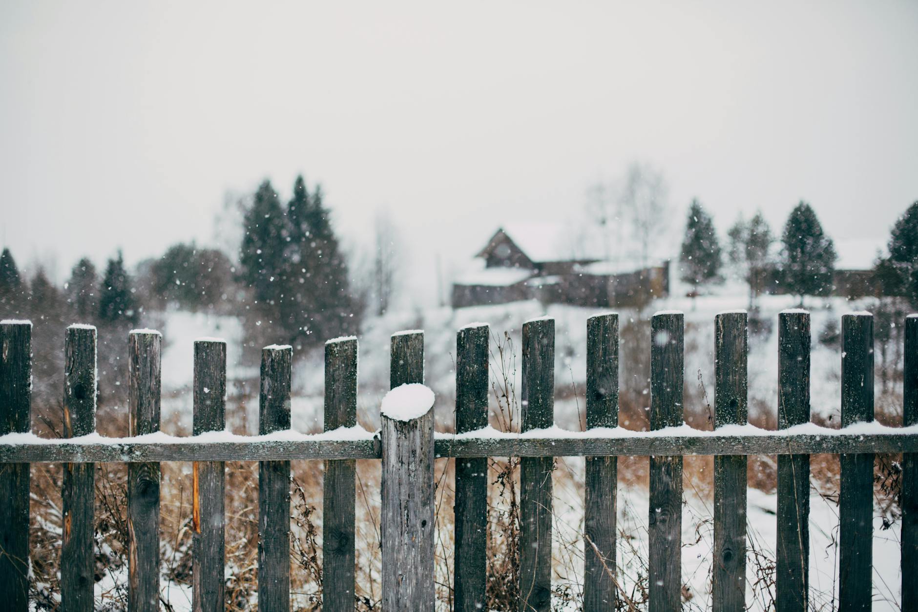 Privacy Litigation and the New Frontier of Class Action Risk