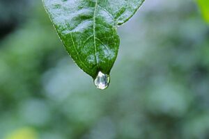 Social Security Numbers Compromised in STRATeBEN Data Breach Disclosure - Featured image