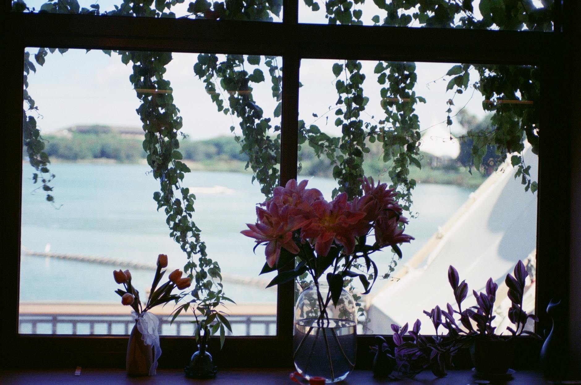 The Opt-Out Trap and Scam Claim Services to Avoid