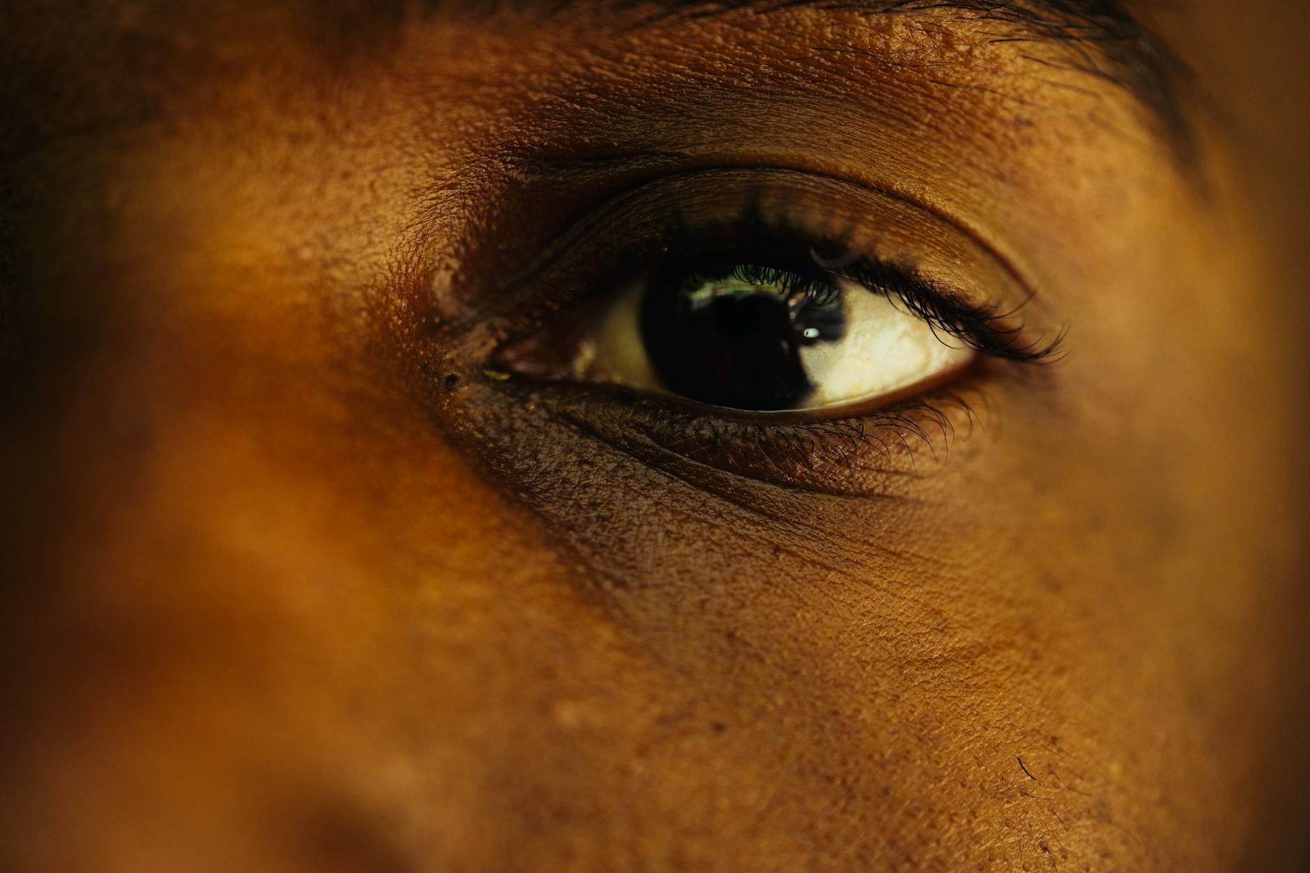 The Pending Biometric Privacy Lawsuit—What Could Happen Next