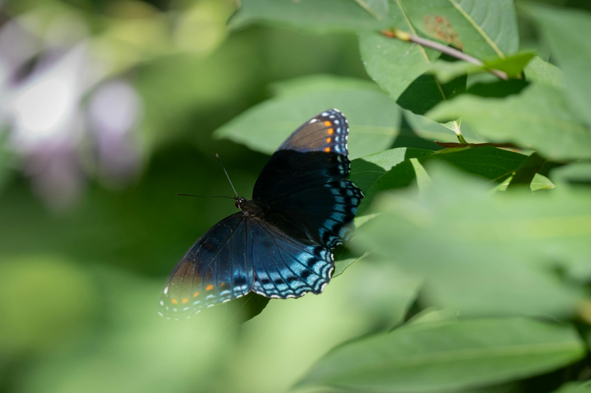 The Settlement Avalanche—Why $800M+ Agreements Are Only the Beginning