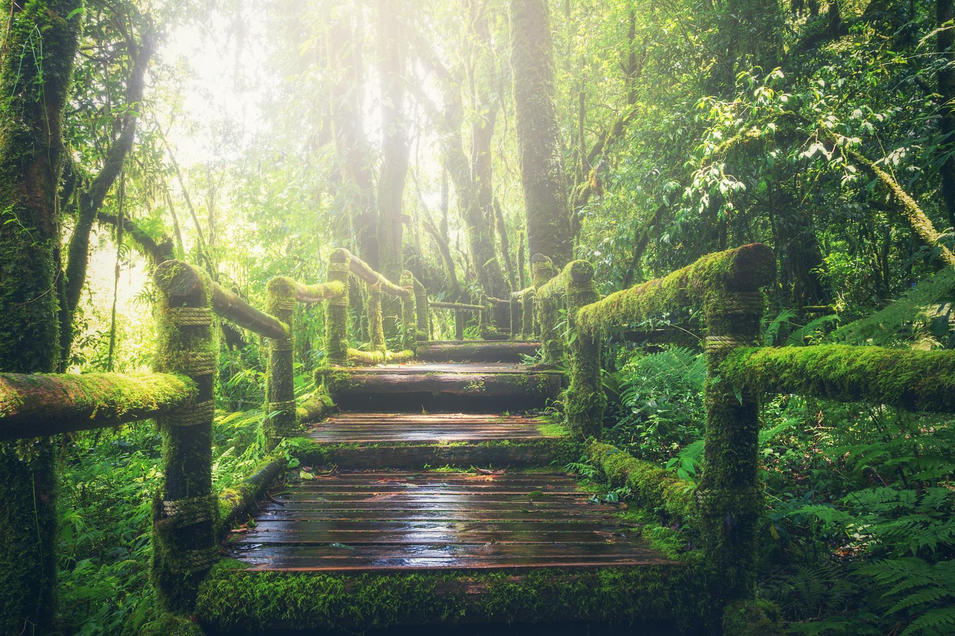 The Three Paths Forward After a Mistrial: Retrial, Settlement, or Dismissal