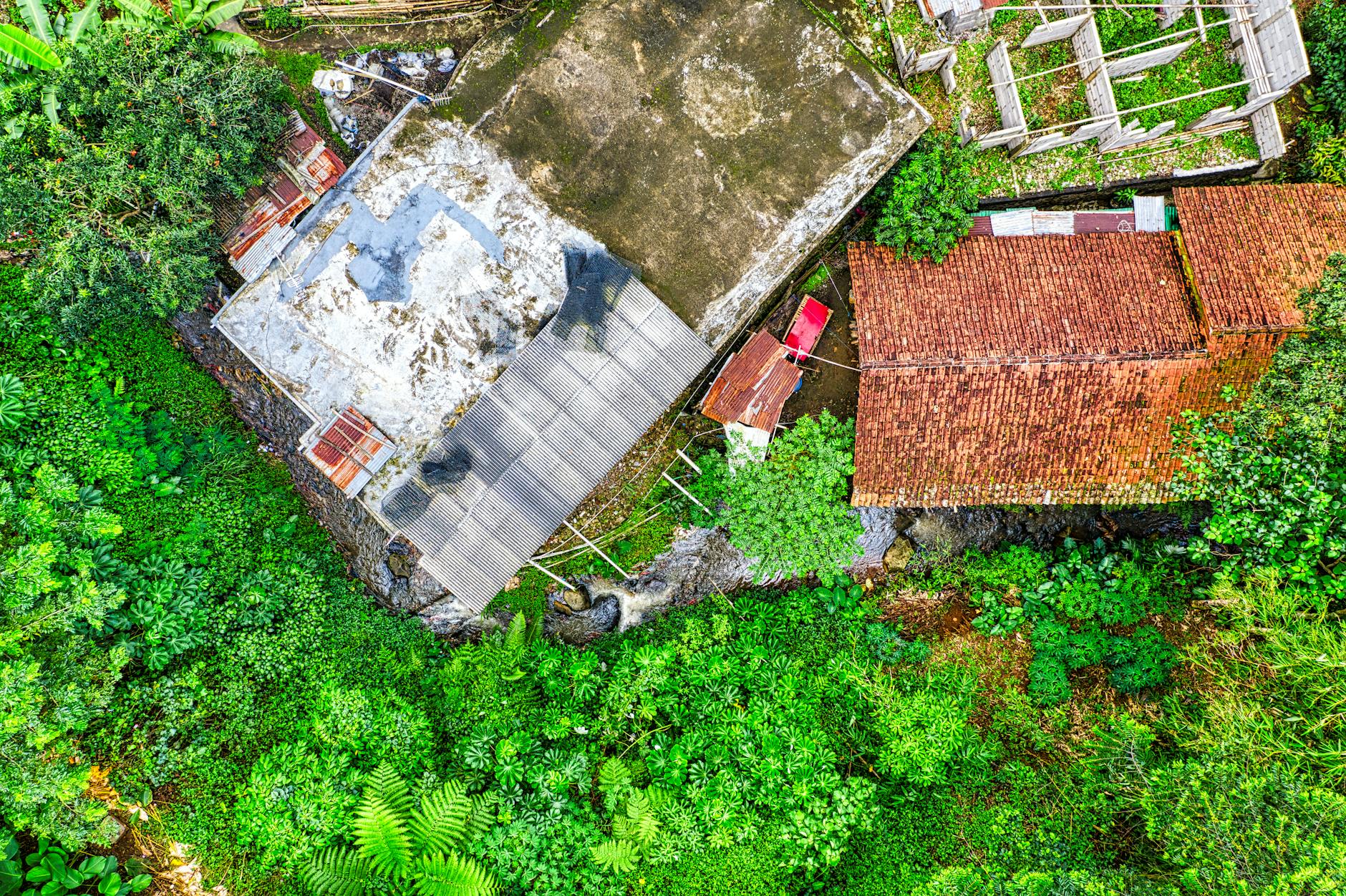 The Trap of Expecting Reinstatement Through the Courts