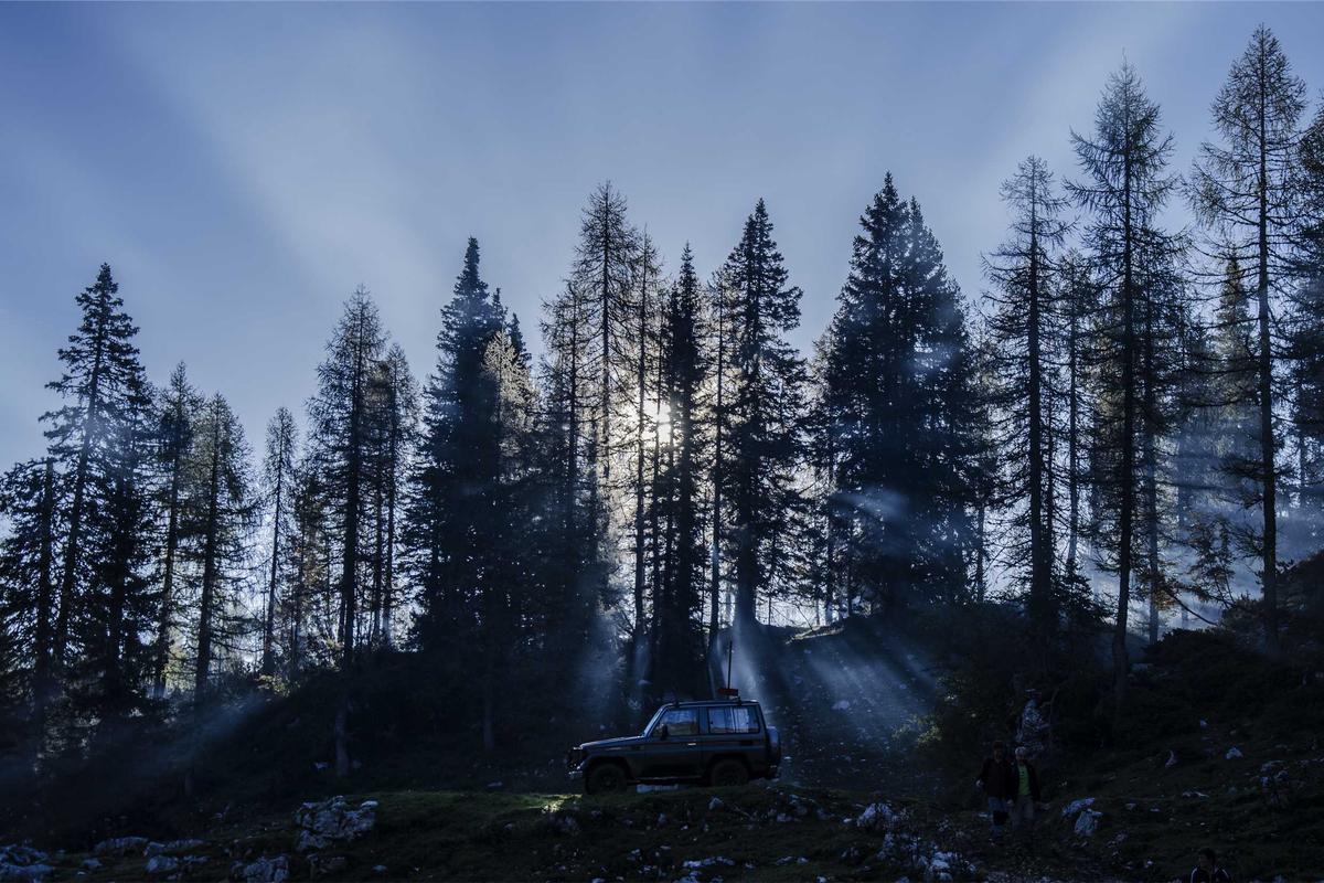 What Antitrust Violations Did Google Commit in the Play Store?