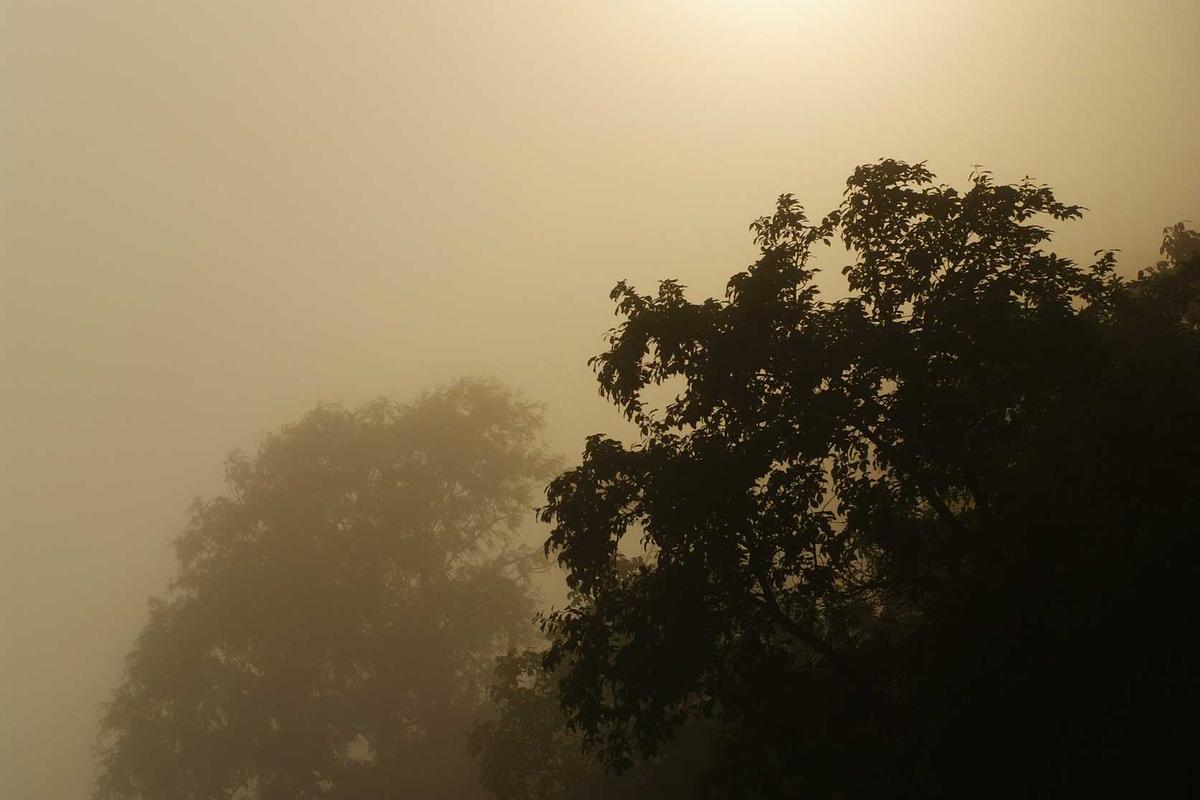 What Are Shareholders Alleging in the Lakeland Industries Securities Fraud Lawsuit?