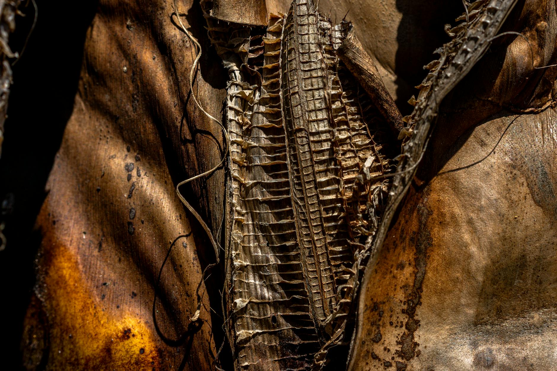 What Are the Core Allegations Against Meta's Smart Glasses?