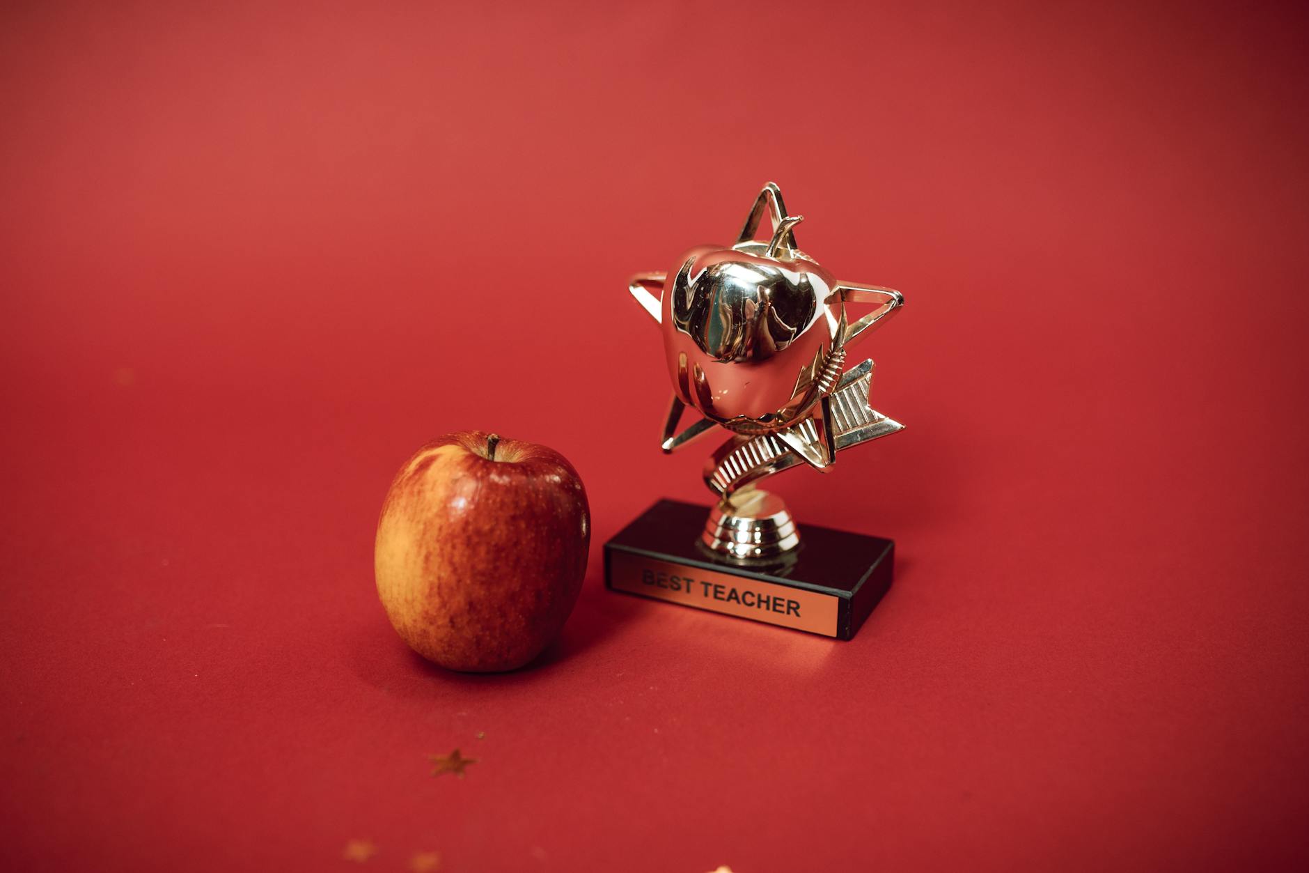 What Are the Different Settlement Awards and Who Qualifies?