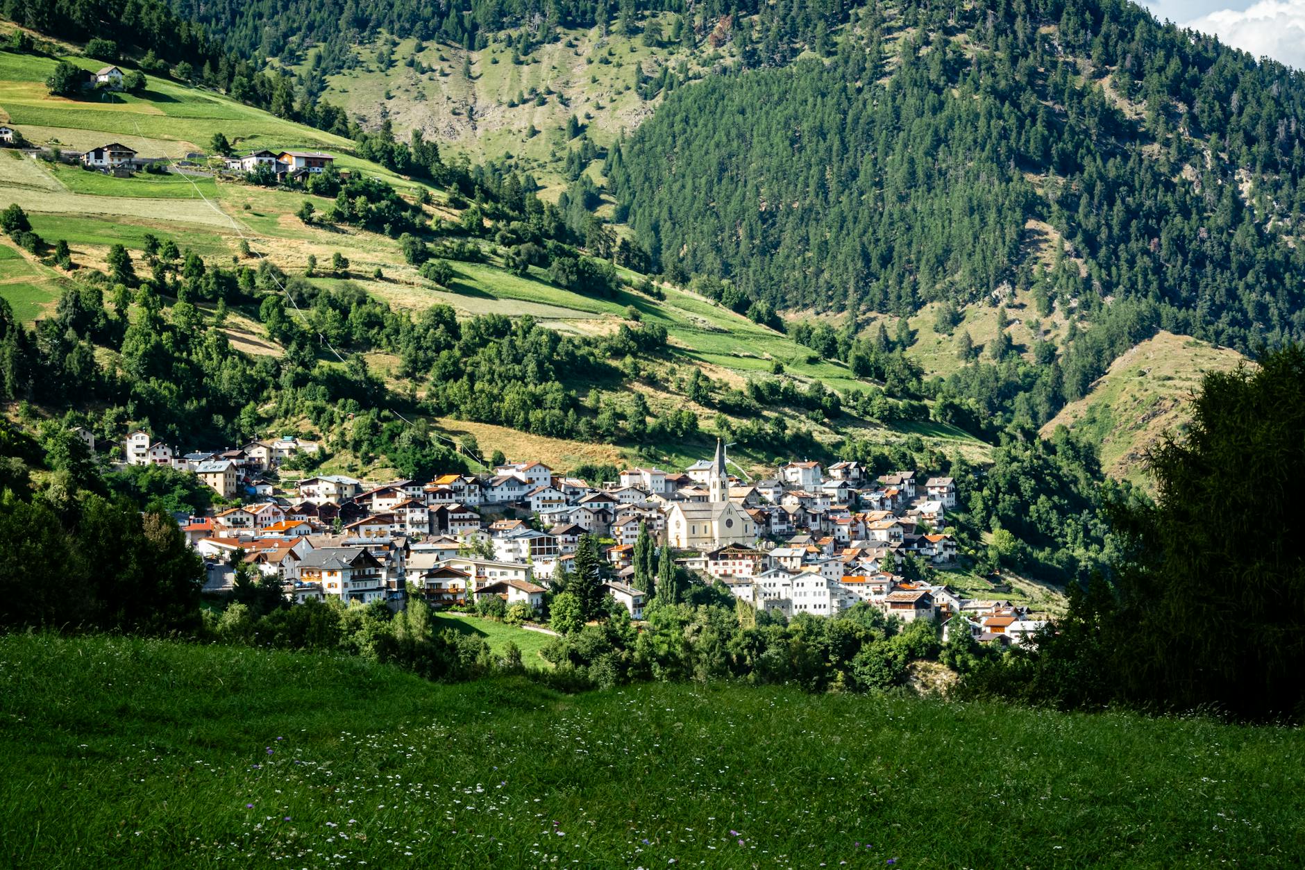 What Are the Limitations of This Settlement?