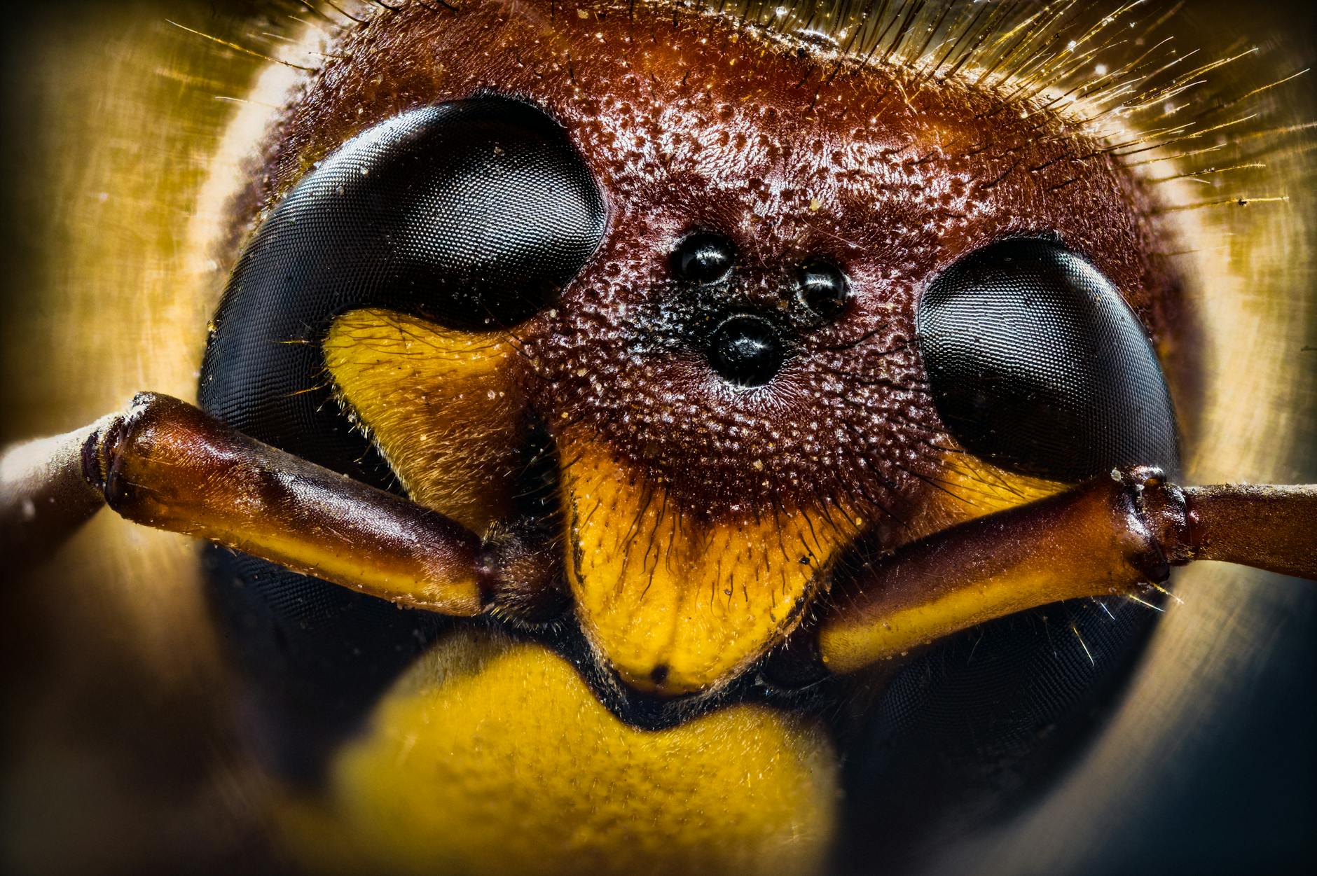 What Exactly Was the FTC Settlement About and How Did Twitter Misuse User Data?