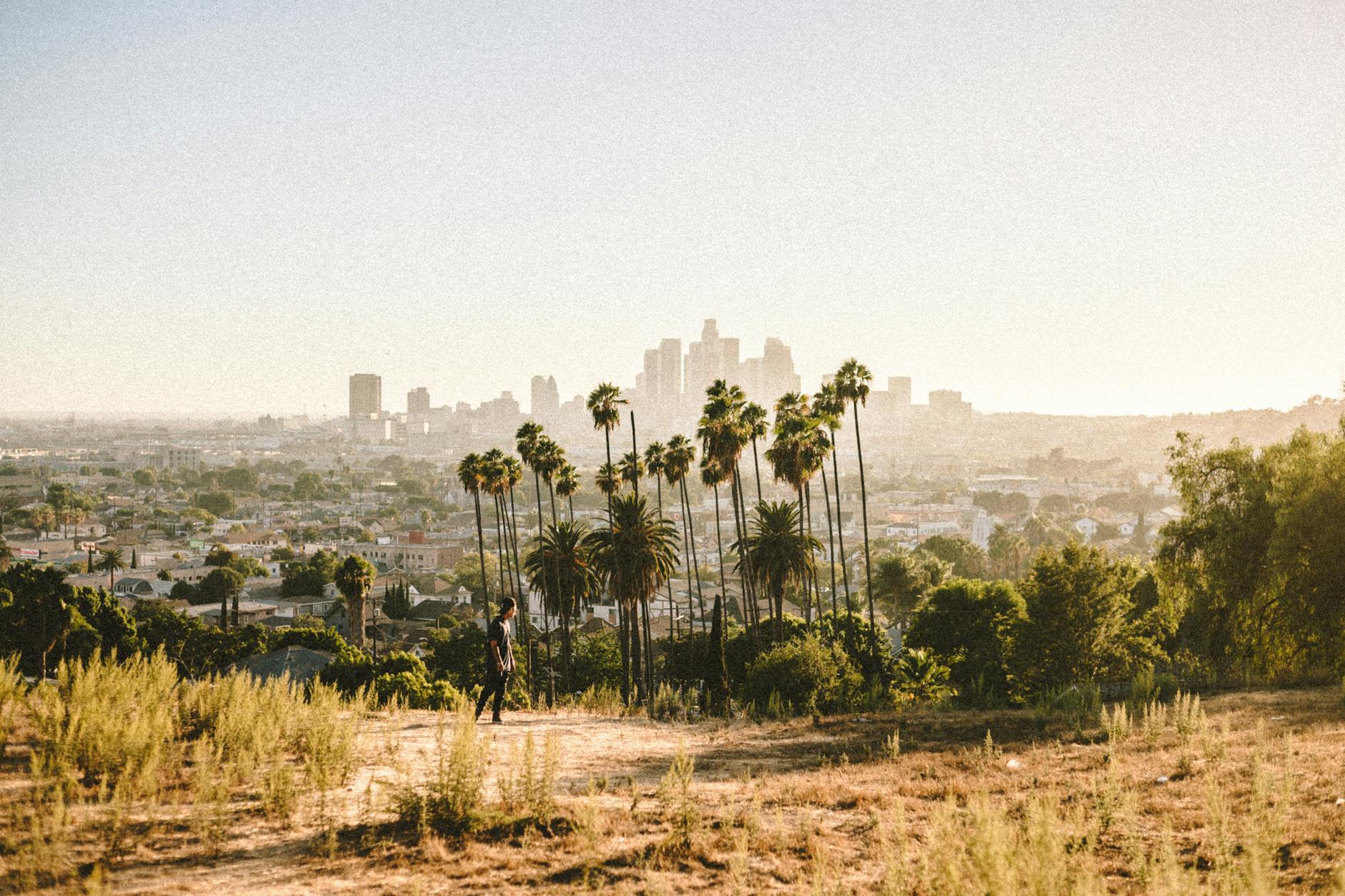 What Is the Los Angeles Bellwether Case About Platform Design Harm?