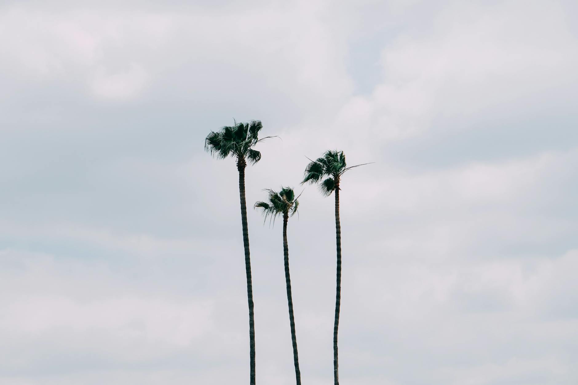 What Is the Los Angeles Jury Currently Deliberating?