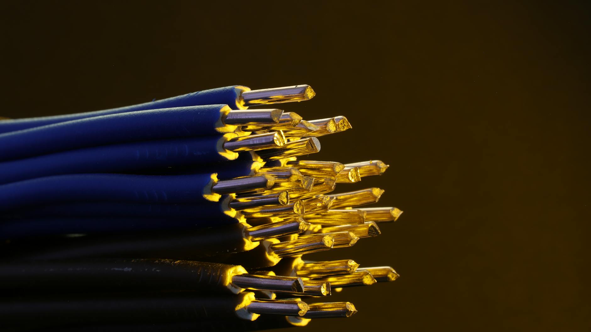 What Personal Data Was Exposed and Why It Matters