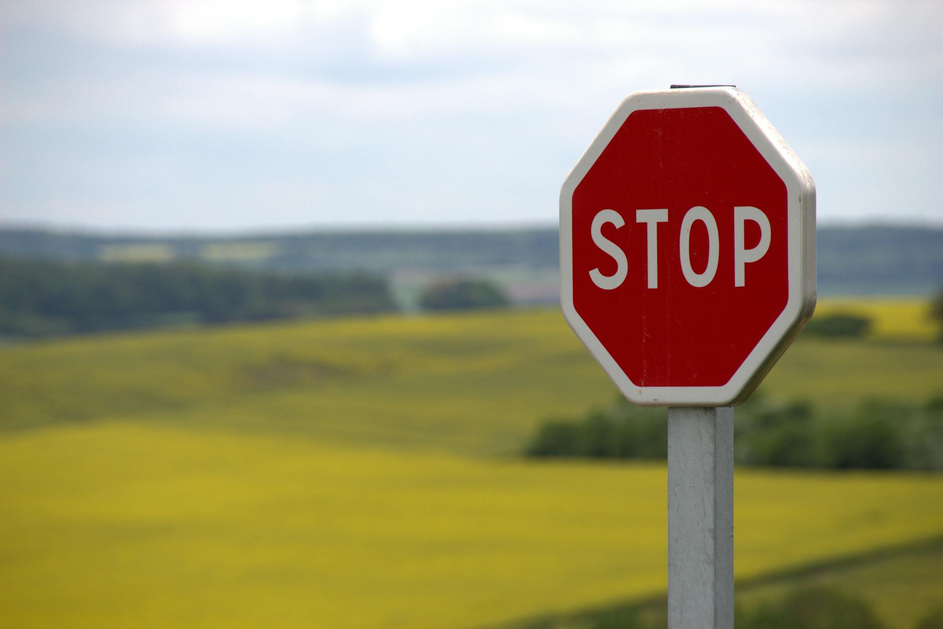 What Regulatory Actions Did Balance of Nature Face Beyond the Civil Settlement?
