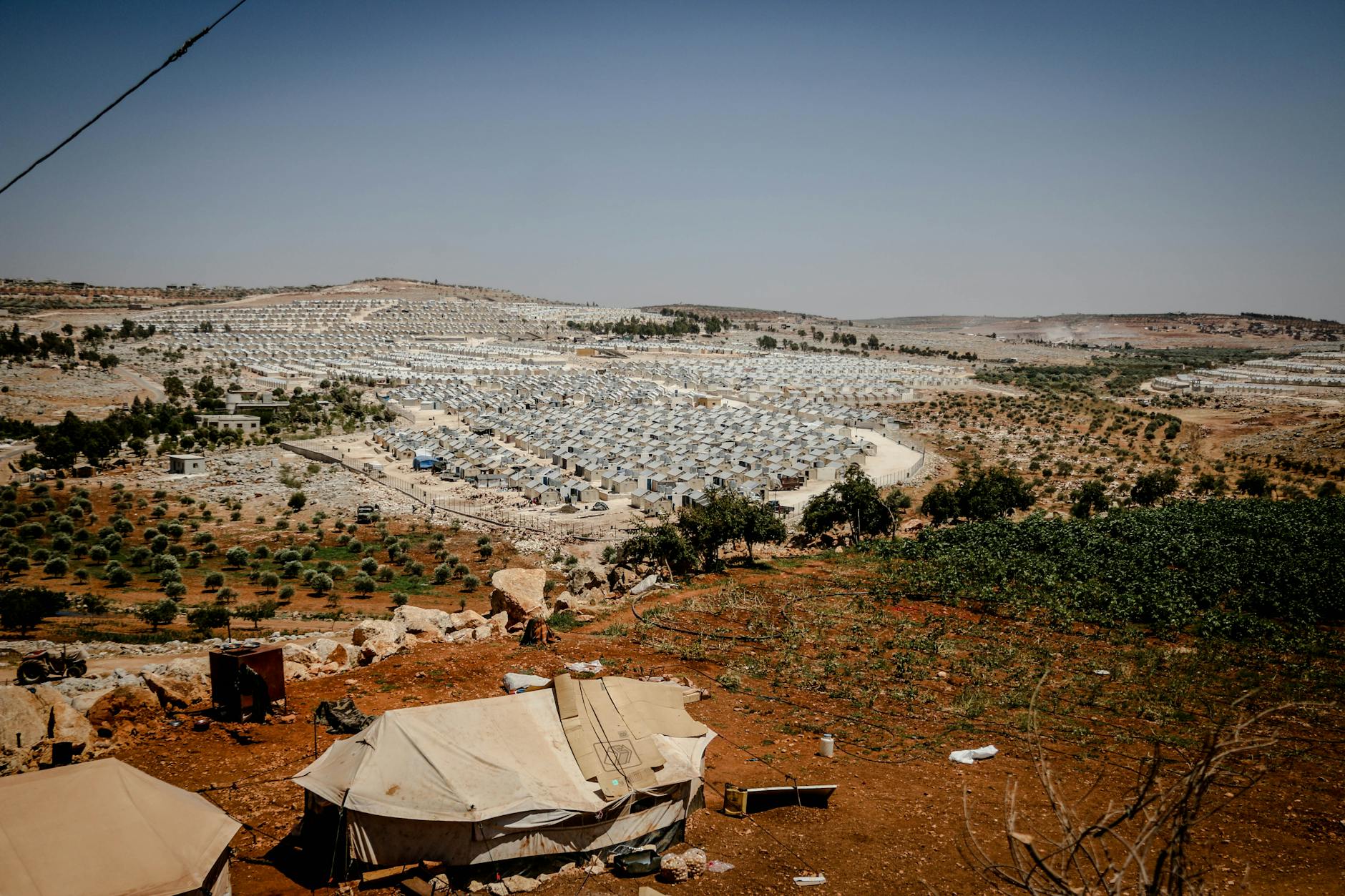 What Relief Is Soler Seeking?