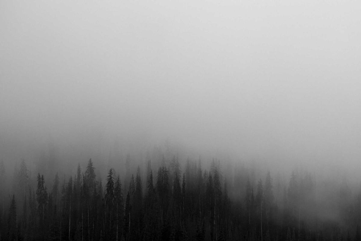 What Specific Claims Did LifeLock Make That the FTC Found False?