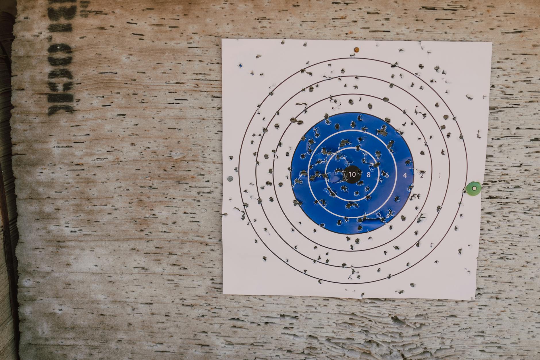 What To Do If You Lost Your Target Settlement Notice