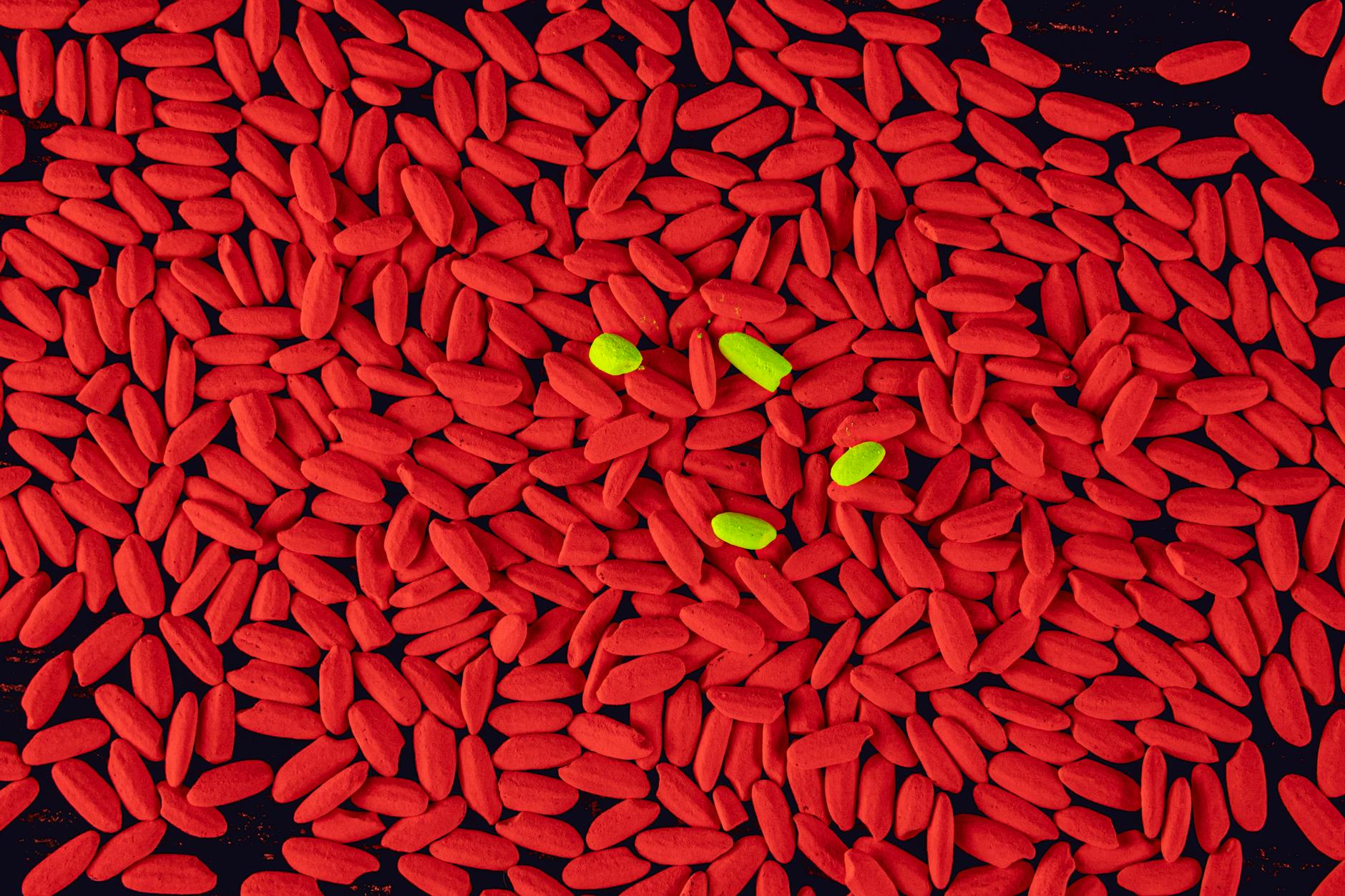 What Triggered the ImmunityBio Securities Class Action Lawsuit?