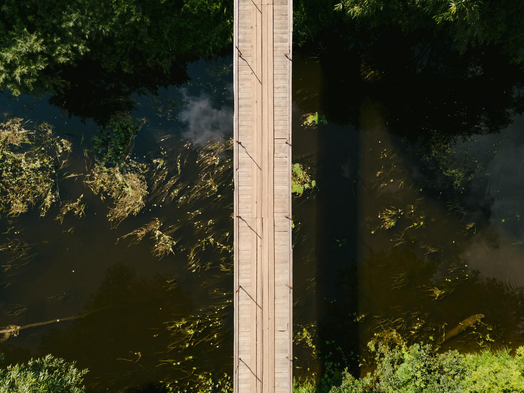 When Will Yale New Haven Health Settlement Payments Be Sent?