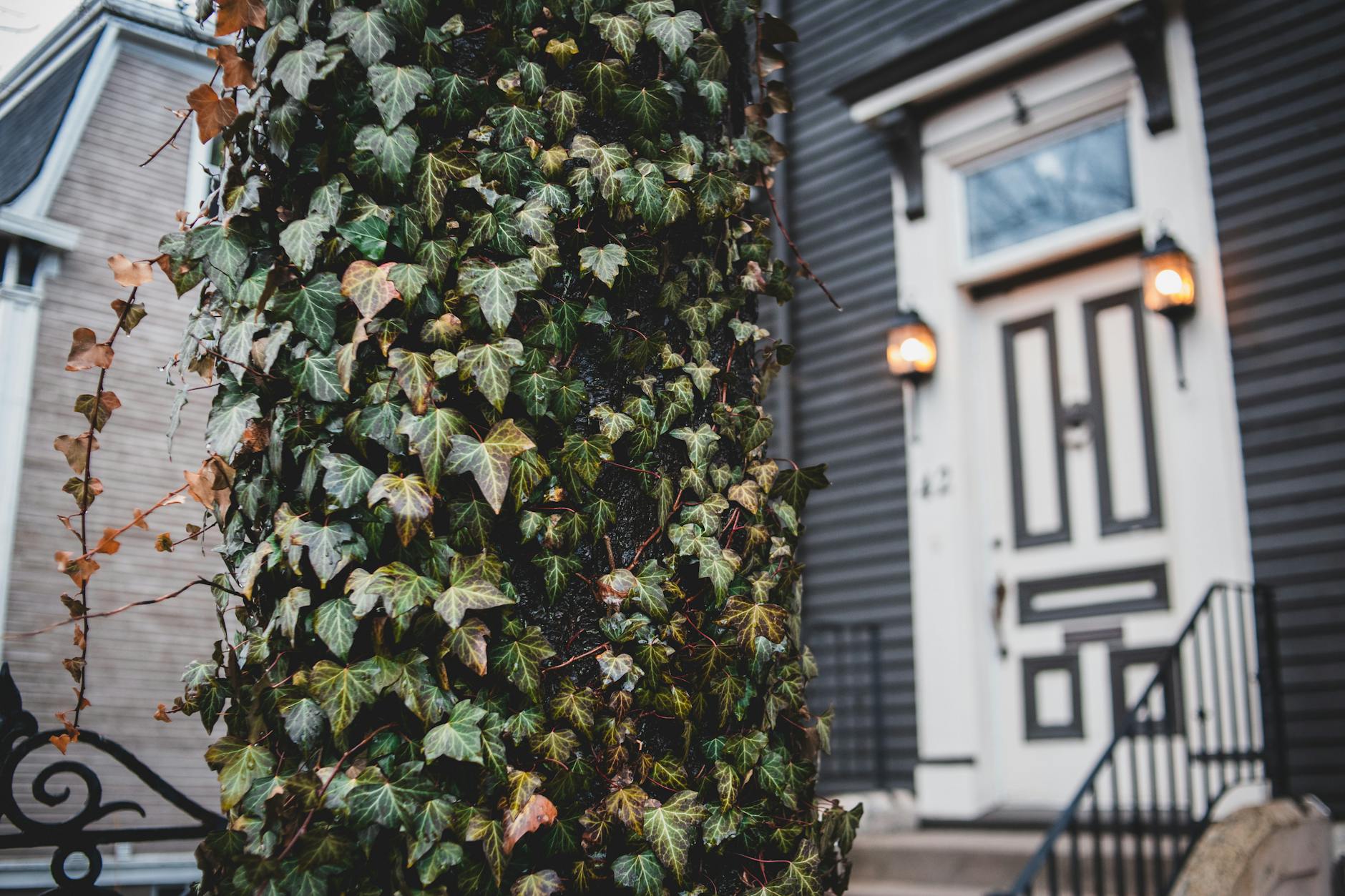 Which DoorDash Settlement Are You Part Of And How Do You Update Your Contact Info?