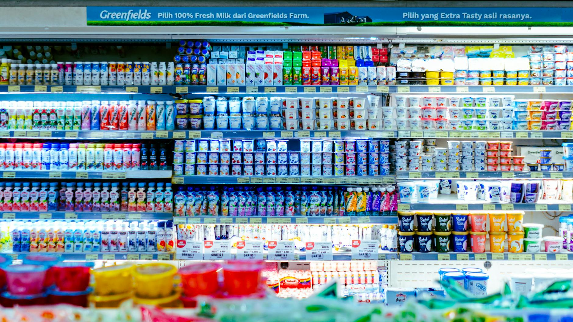 Which Pet Food Brands and Products Were Covered?