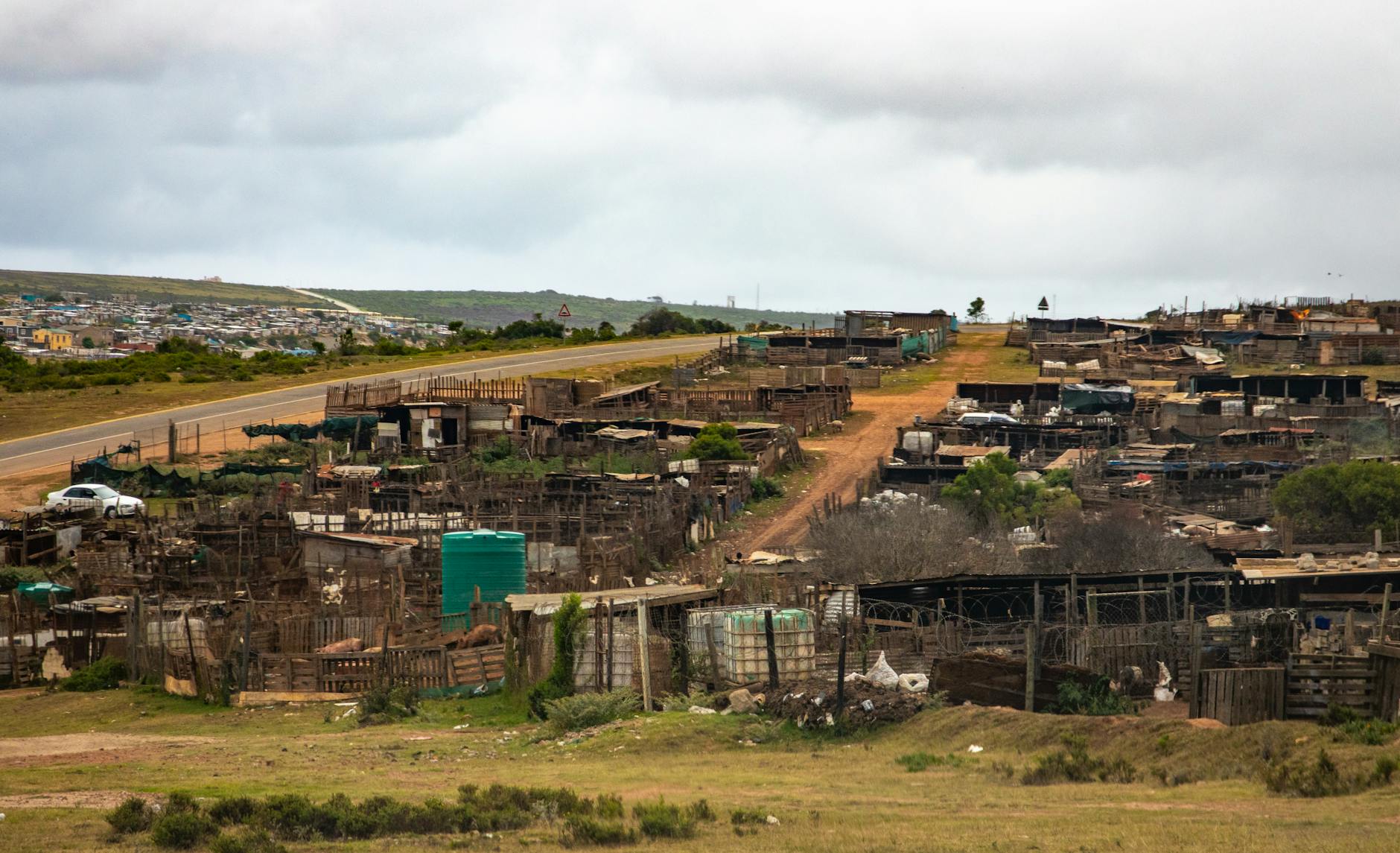 Who Is the Court-Appointed Monitor, and What Is Her Authority?