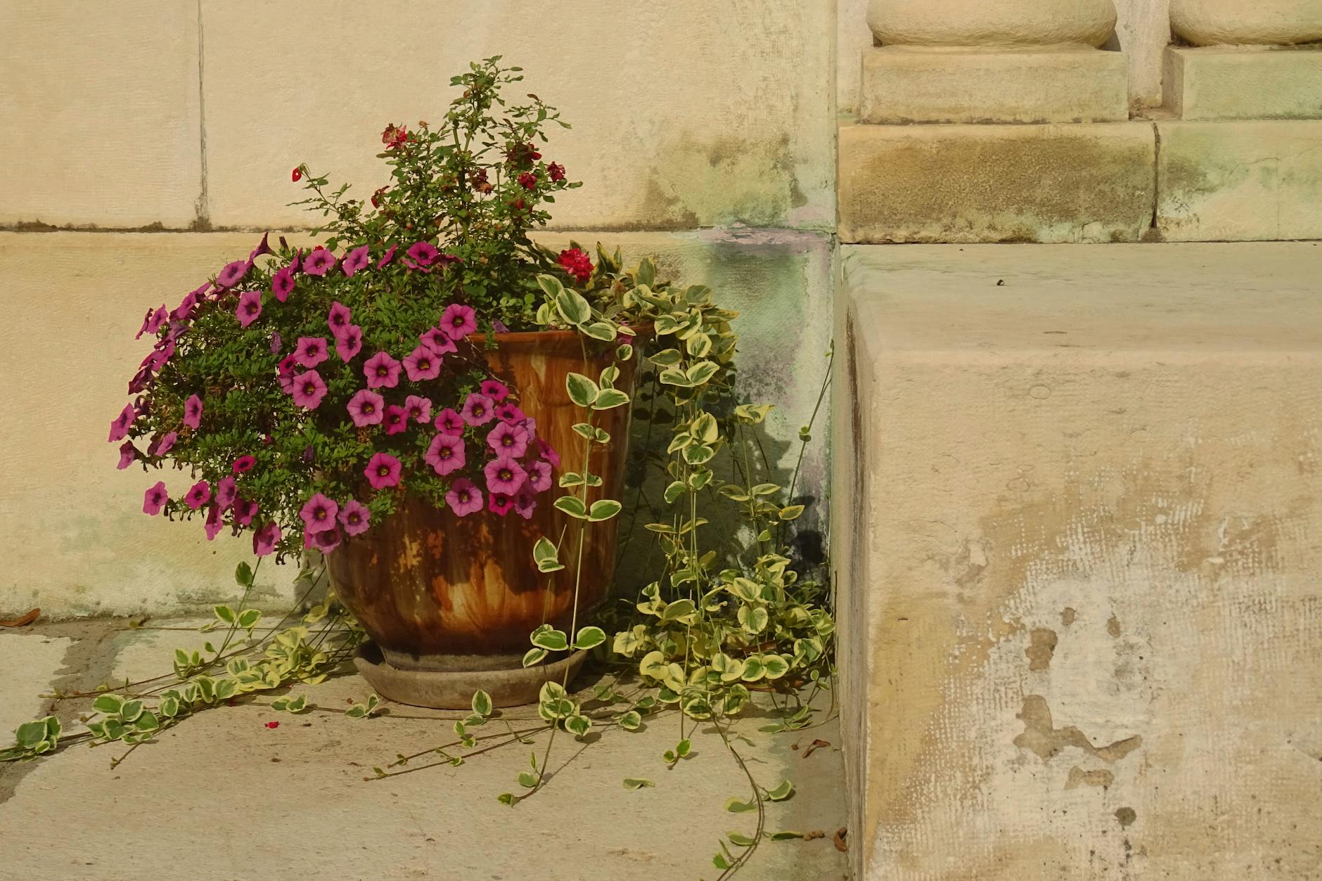 Why Did Jenny Craig Franchises Close Without Refunding Prepaid Diet Program Fees?